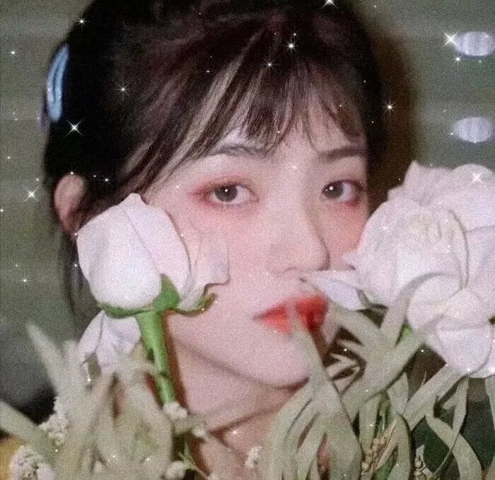 明星大侦探第七季